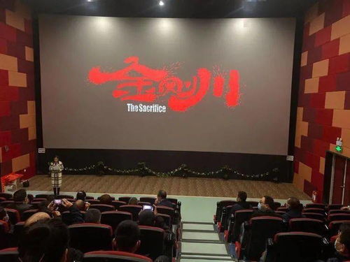 華陰市文旅局黨委 重溫崢嶸歲月筑牢使命擔(dān)當，文化交融激發(fā)時代活力