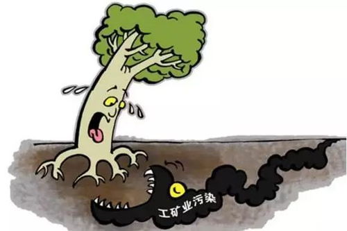 我國推進土壤修復的主要舉措與成效
