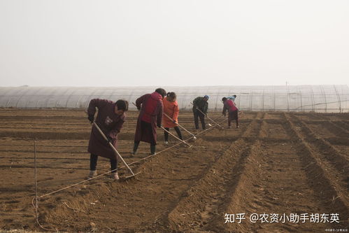 土壤污染的預防、防治與修復 礦源黃腐酸鉀的作用及實際方案